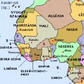 es afrikai nemzetek kupája – Wikipédia