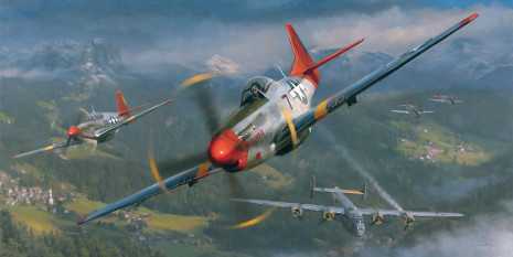 5_Red Tails
