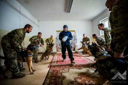 Közös járőrkutya képzés a Veszprém Rendőrfőkapitányság szakállományával KLAC1874